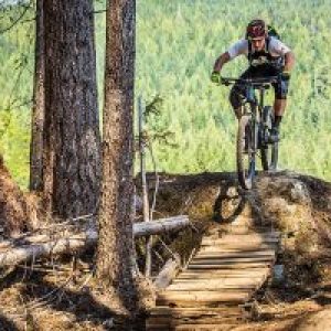 a person standing next to a tree