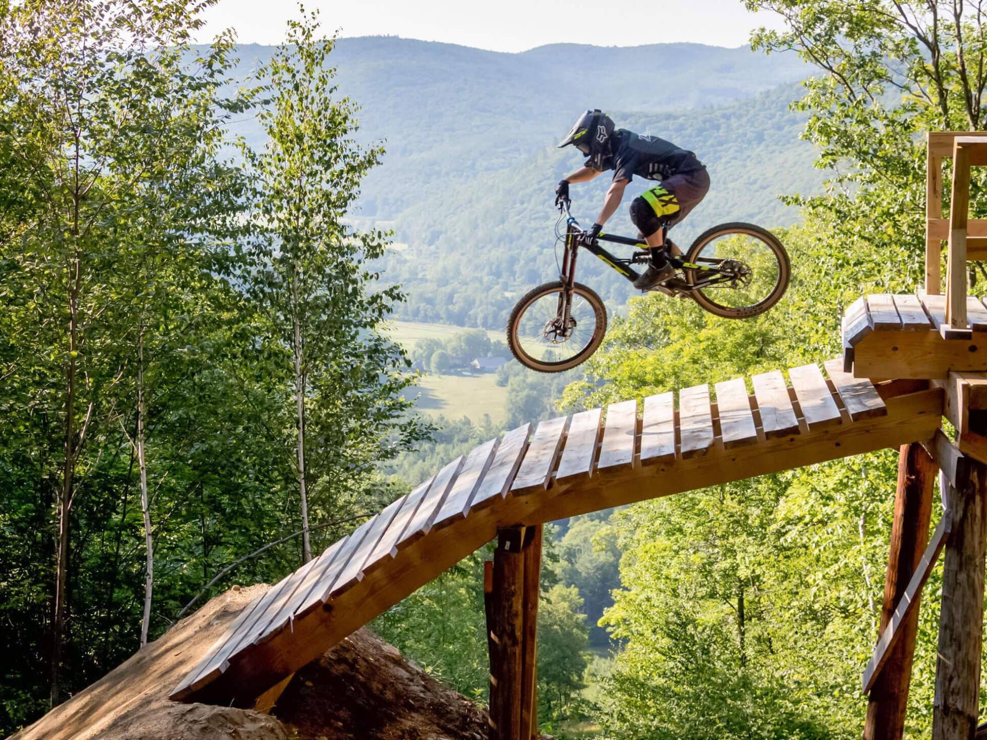 a bicycle leaning against a tree
